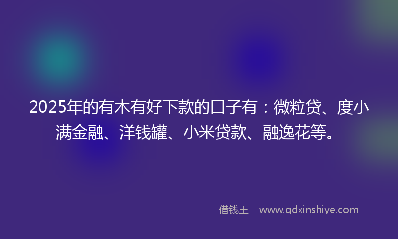 2025年的有木有好下款的口子有：微粒贷、度小满金融、洋钱罐、小米贷款、融逸花等。