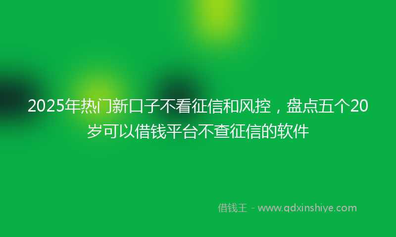 2025年热门新口子不看征信和风控，盘点五个20岁可以借钱平台不查征信的软件