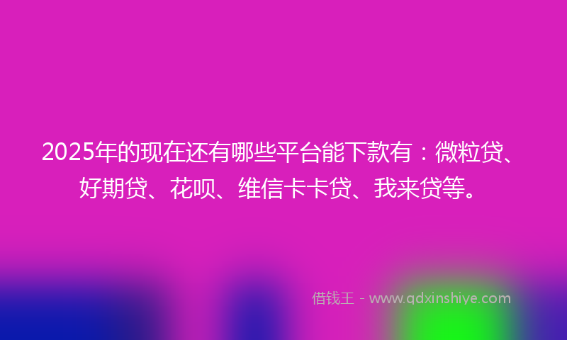 2025年的现在还有哪些平台能下款有：微粒贷、好期贷、花呗、维信卡卡贷、我来贷等。
