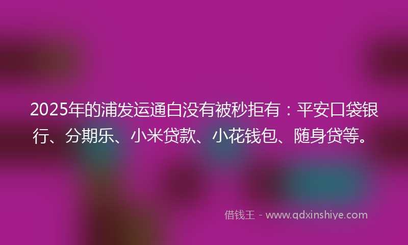 2025年的浦发运通白没有被秒拒有：平安口袋银行、分期乐、小米贷款、小花钱包、随身贷等。