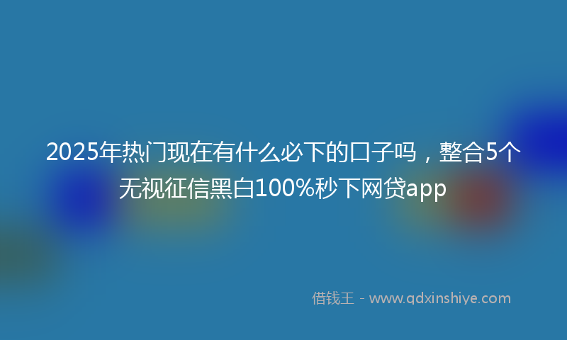 2025年热门现在有什么必下的口子吗，整合5个无视征信黑白100%秒下网贷app