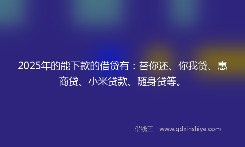 2025年的能下款的借贷有：替你还、你我贷、惠商贷、小米贷款、随身贷等。
