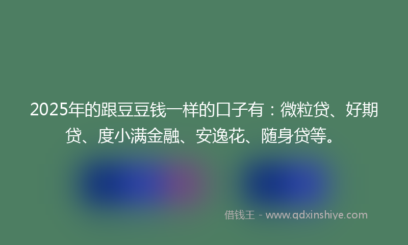 2025年的跟豆豆钱一样的口子有：微粒贷、好期贷、度小满金融、安逸花、随身贷等。