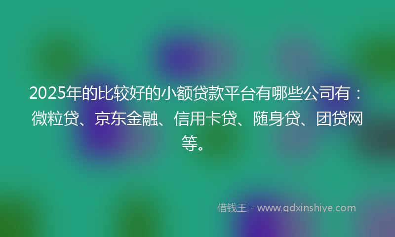 2025年的比较好的小额贷款平台有哪些公司有：微粒贷、京东金融、信用卡贷、随身贷、团贷网等。