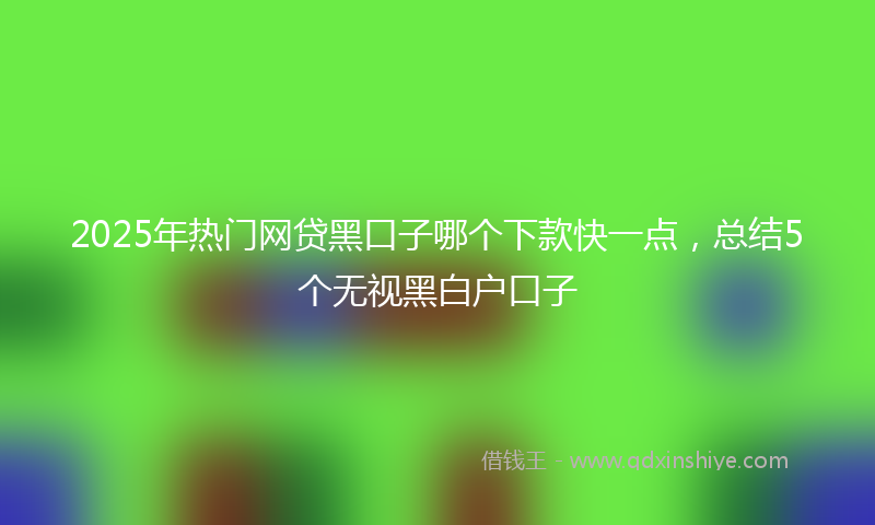 2025年热门网贷黑口子哪个下款快一点，总结5个无视黑白户口子