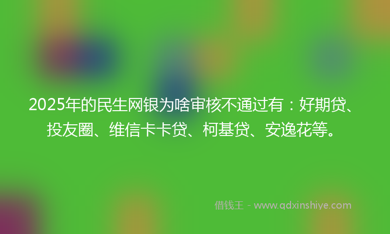 2025年的民生网银为啥审核不通过有：好期贷、投友圈、维信卡卡贷、柯基贷、安逸花等。