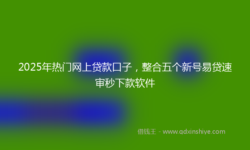2025年热门网上贷款口子，整合五个新号易贷速审秒下款软件