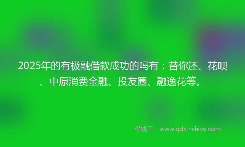 2025年的有极融借款成功的吗有：替你还、花呗、中原消费金融、投友圈、融逸花等。