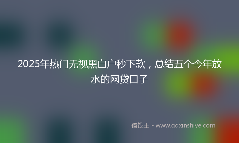 2025年热门无视黑白户秒下款，总结五个今年放水的网贷口子