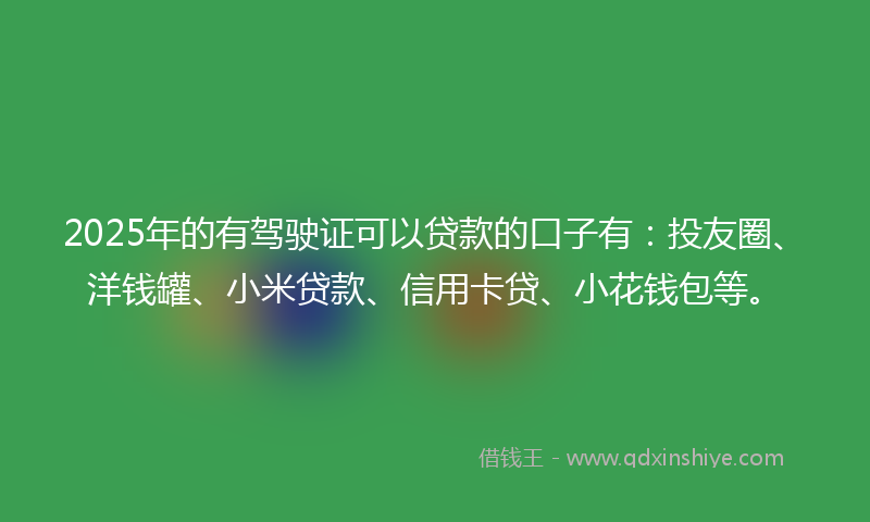 2025年的有驾驶证可以贷款的口子有：投友圈、洋钱罐、小米贷款、信用卡贷、小花钱包等。