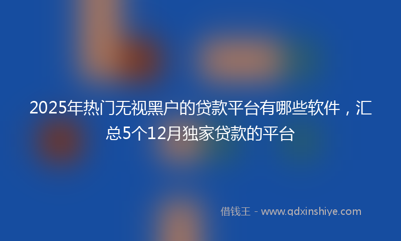 2025年热门无视黑户的贷款平台有哪些软件，汇总5个12月独家贷款的平台