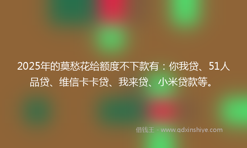 2025年的莫愁花给额度不下款有：你我贷、51人品贷、维信卡卡贷、我来贷、小米贷款等。