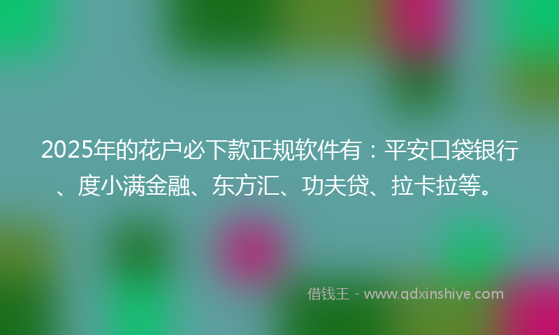 2025年的花户必下款正规软件有：平安口袋银行、度小满金融、东方汇、功夫贷、拉卡拉等。