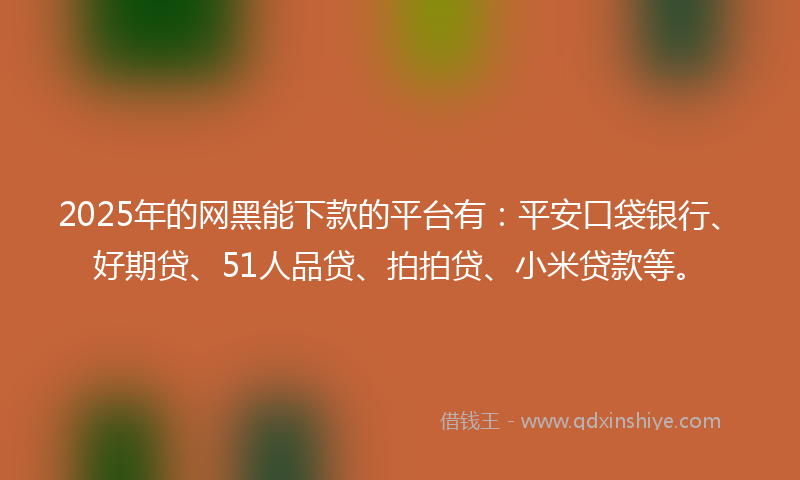 2025年的网黑能下款的平台有：平安口袋银行、好期贷、51人品贷、拍拍贷、小米贷款等。