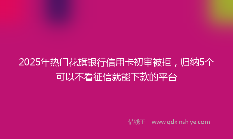 2025年热门花旗银行信用卡初审被拒，归纳5个可以不看征信就能下款的平台