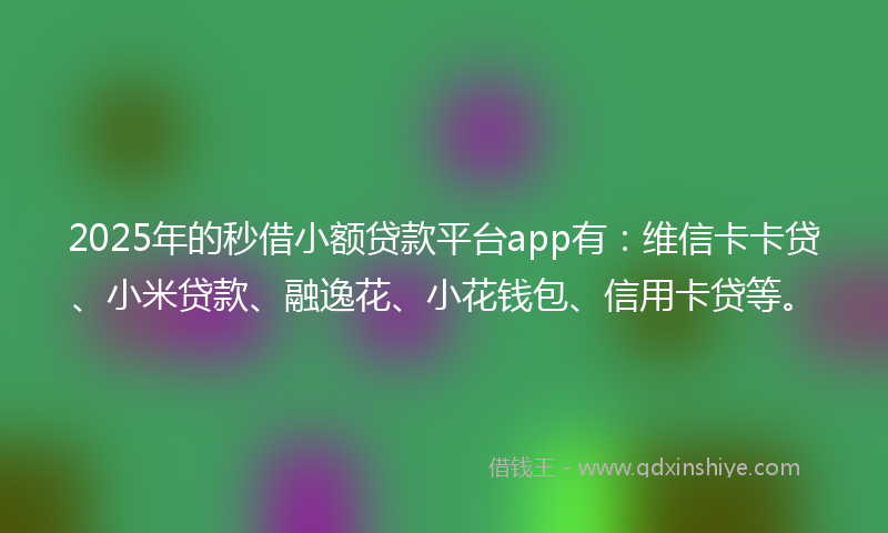 2025年的秒借小额贷款平台app有：维信卡卡贷、小米贷款、融逸花、小花钱包、信用卡贷等。