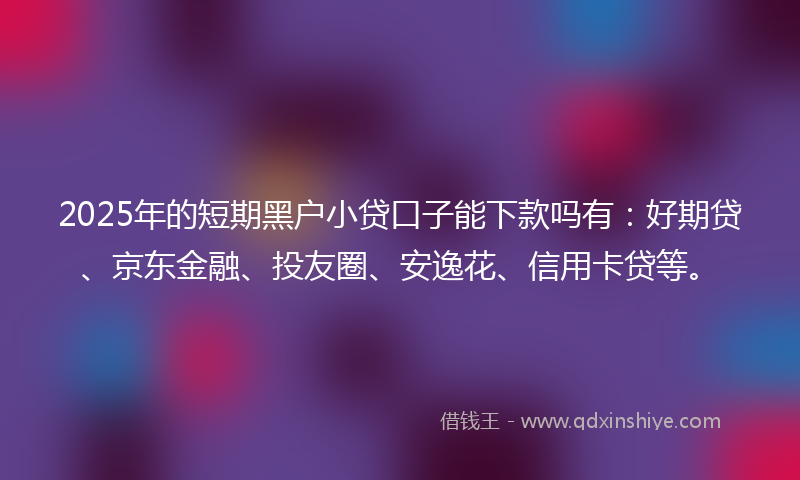 2025年的短期黑户小贷口子能下款吗有：好期贷、京东金融、投友圈、安逸花、信用卡贷等。