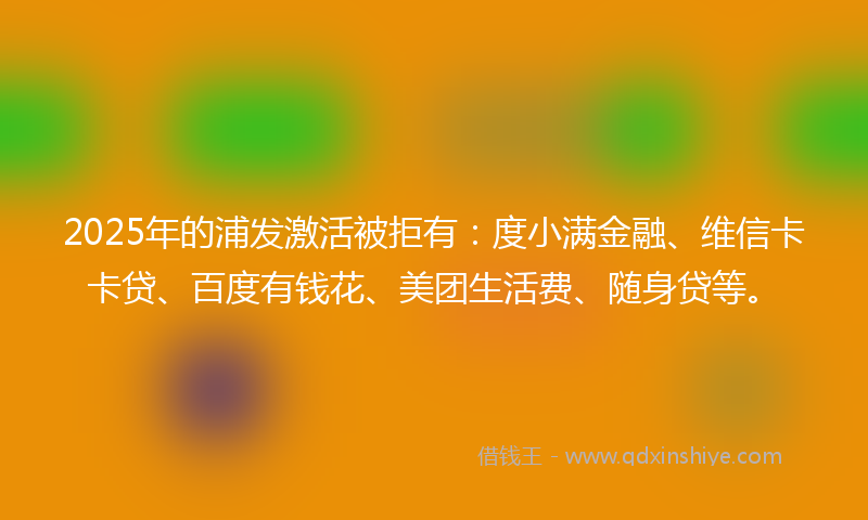 2025年的浦发激活被拒有：度小满金融、维信卡卡贷、百度有钱花、美团生活费、随身贷等。