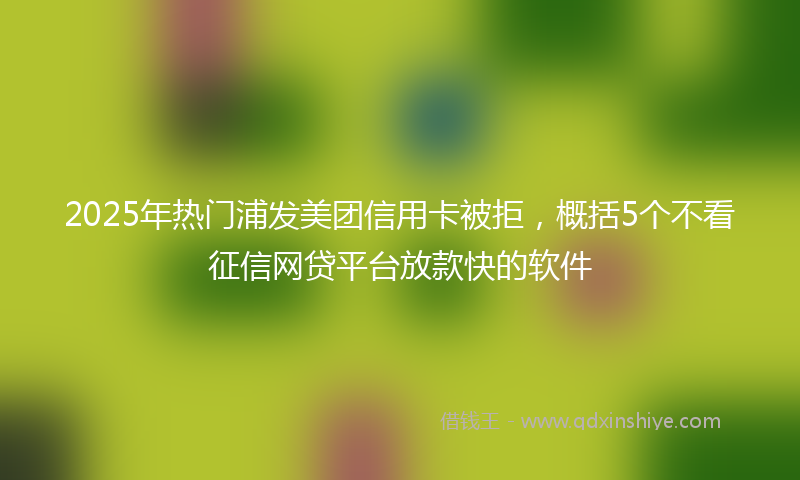 2025年热门浦发美团信用卡被拒，概括5个不看征信网贷平台放款快的软件