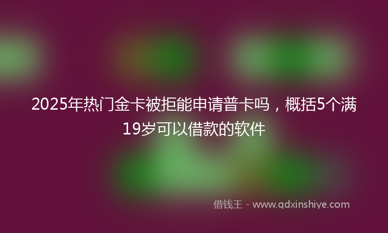 2025年热门金卡被拒能申请普卡吗，概括5个满19岁可以借款的软件