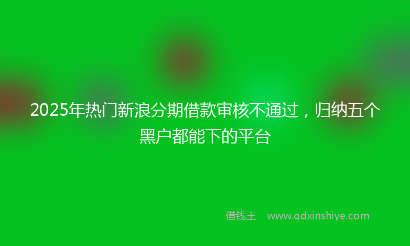 2025年热门新浪分期借款审核不通过，归纳五个黑户都能下的平台