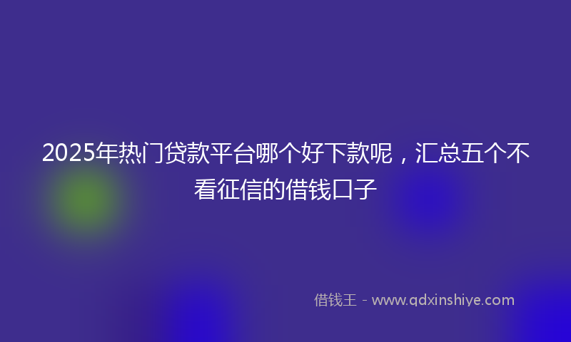 2025年热门贷款平台哪个好下款呢，汇总五个不看征信的借钱口子