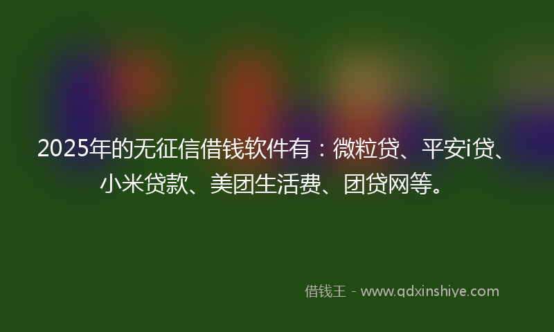 2025年的无征信借钱软件有：微粒贷、平安i贷、小米贷款、美团生活费、团贷网等。
