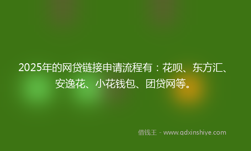 2025年的网贷链接申请流程有：花呗、东方汇、安逸花、小花钱包、团贷网等。