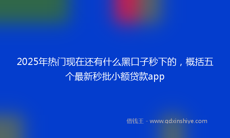 2025年热门现在还有什么黑口子秒下的，概括五个最新秒批小额贷款app