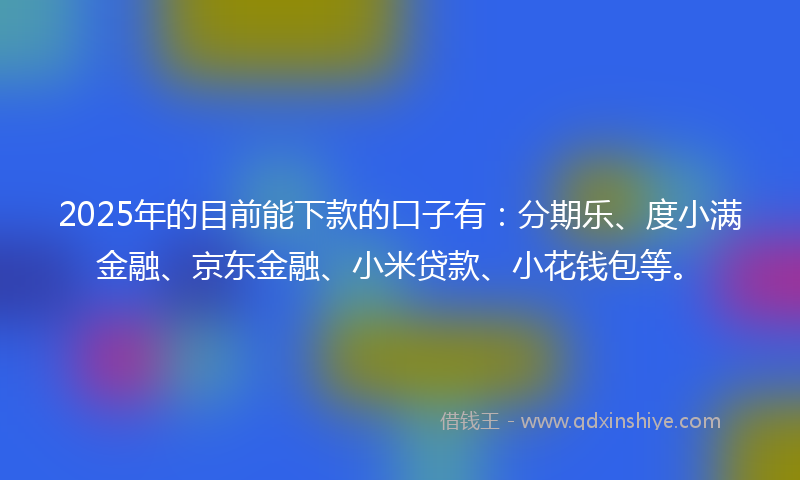 2025年的目前能下款的口子有：分期乐、度小满金融、京东金融、小米贷款、小花钱包等。