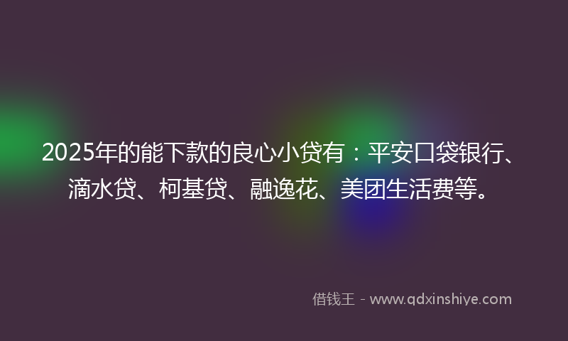 2025年的能下款的良心小贷有：平安口袋银行、滴水贷、柯基贷、融逸花、美团生活费等。