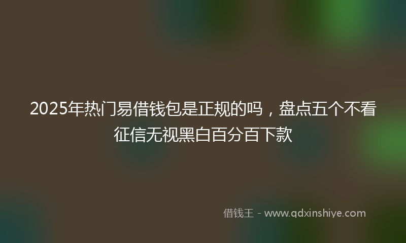 2025年热门易借钱包是正规的吗，盘点五个不看征信无视黑白百分百下款