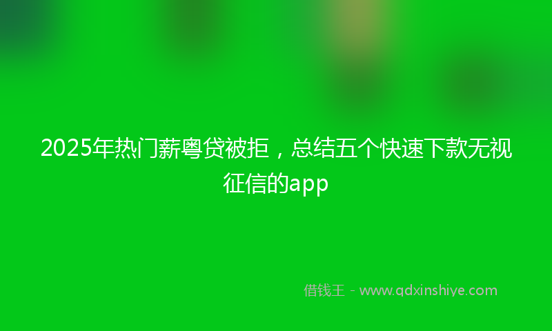 2025年热门薪粤贷被拒，总结五个快速下款无视征信的app