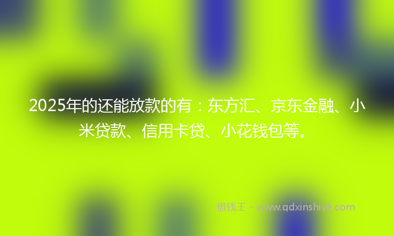 2025年的还能放款的有：东方汇、京东金融、小米贷款、信用卡贷、小花钱包等。