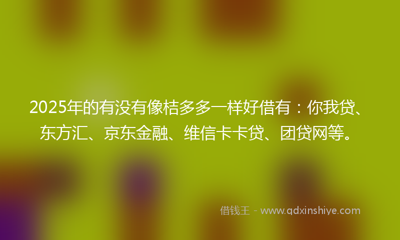 2025年的有没有像桔多多一样好借有：你我贷、东方汇、京东金融、维信卡卡贷、团贷网等。