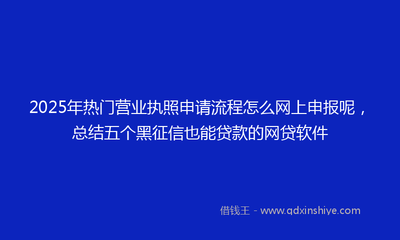 2025年热门营业执照申请流程怎么网上申报呢，总结五个黑征信也能贷款的网贷软件