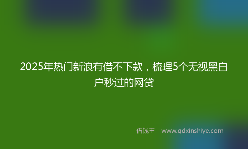 2025年热门新浪有借不下款，梳理5个无视黑白户秒过的网贷