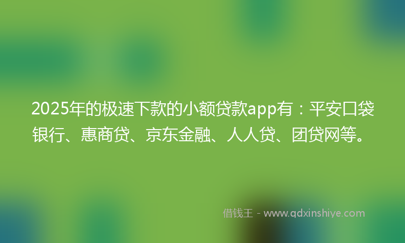 2025年的极速下款的小额贷款app有：平安口袋银行、惠商贷、京东金融、人人贷、团贷网等。