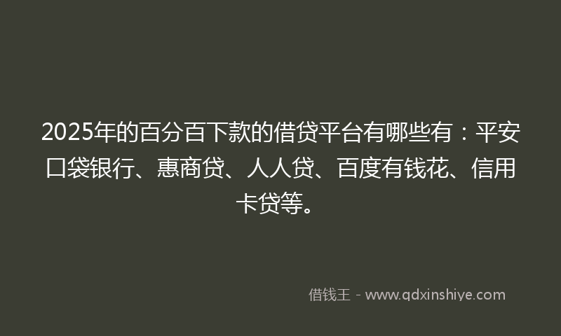2025年的百分百下款的借贷平台有哪些有：平安口袋银行、惠商贷、人人贷、百度有钱花、信用卡贷等。