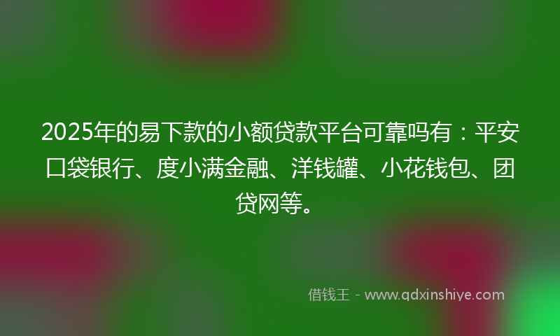 2025年的易下款的小额贷款平台可靠吗有：平安口袋银行、度小满金融、洋钱罐、小花钱包、团贷网等。