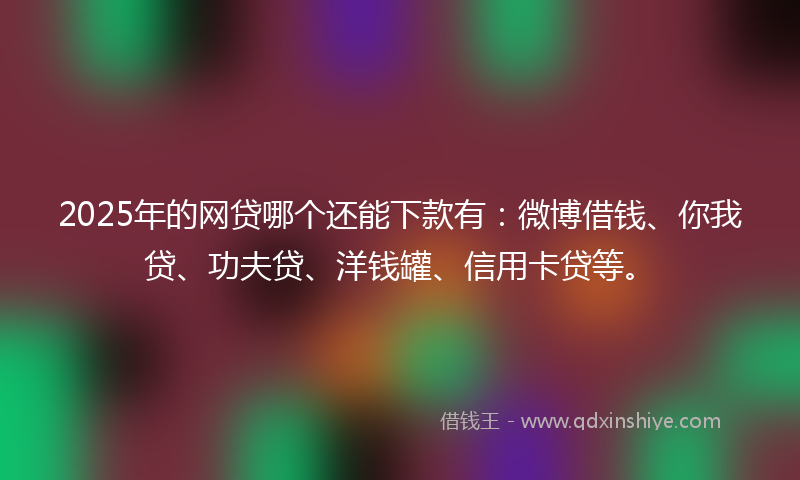 2025年的网贷哪个还能下款有：微博借钱、你我贷、功夫贷、洋钱罐、信用卡贷等。