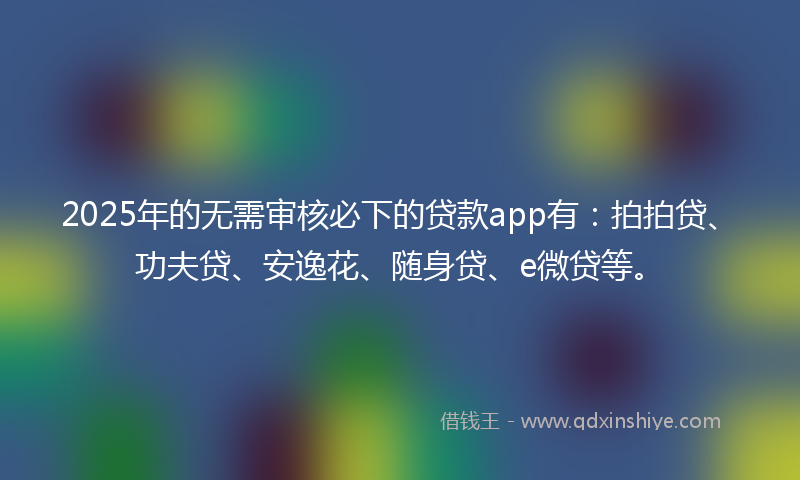 2025年的无需审核必下的贷款app有：拍拍贷、功夫贷、安逸花、随身贷、e微贷等。