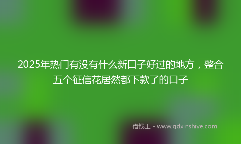 2025年热门有没有什么新口子好过的地方，整合五个征信花居然都下款了的口子