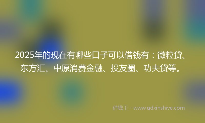 2025年的现在有哪些口子可以借钱有：微粒贷、东方汇、中原消费金融、投友圈、功夫贷等。