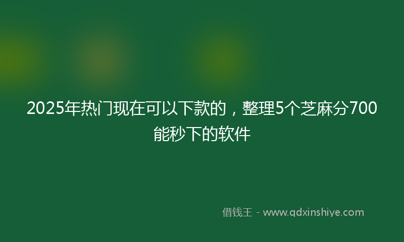 2025年热门现在可以下款的，整理5个芝麻分700能秒下的软件