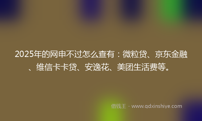 2025年的网申不过怎么查有：微粒贷、京东金融、维信卡卡贷、安逸花、美团生活费等。