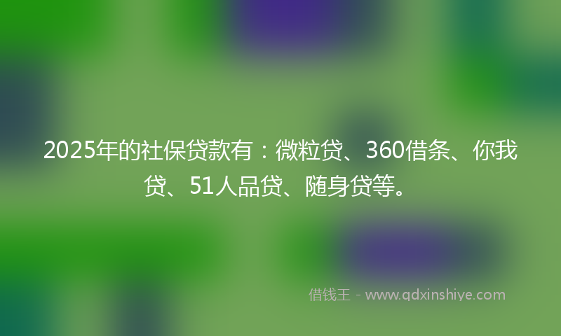 2025年的社保贷款有：微粒贷、360借条、你我贷、51人品贷、随身贷等。