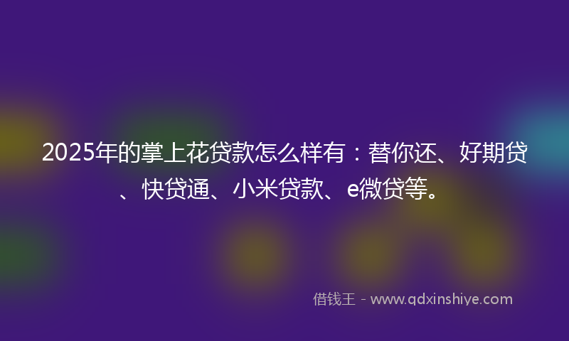 2025年的掌上花贷款怎么样有：替你还、好期贷、快贷通、小米贷款、e微贷等。