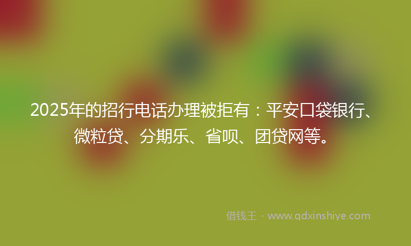2025年的招行电话办理被拒有：平安口袋银行、微粒贷、分期乐、省呗、团贷网等。