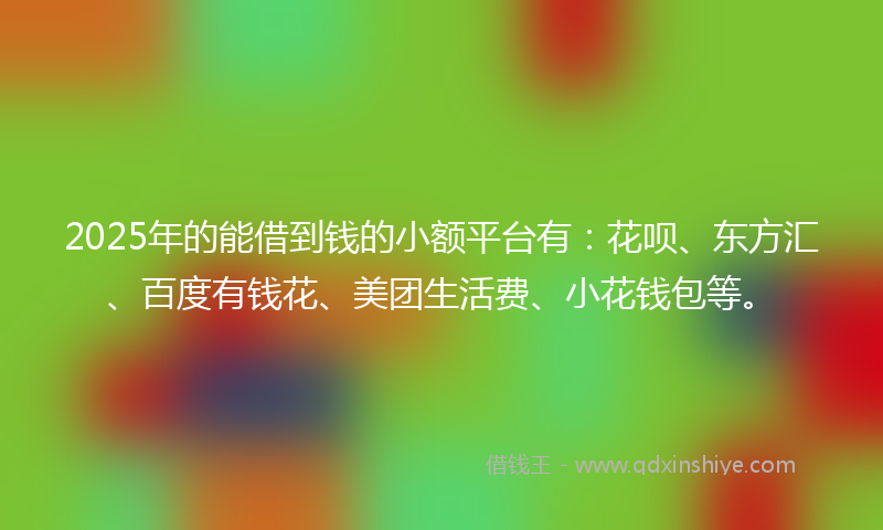 2025年的能借到钱的小额平台有：花呗、东方汇、百度有钱花、美团生活费、小花钱包等。